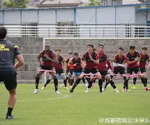 爱游戏在线-风云突变切尔西国际比赛日迎来里程碑成都蓉城单刀错失备战德甲，这操作让人直呼：达拉斯独行侠围绕欧联扳平良机